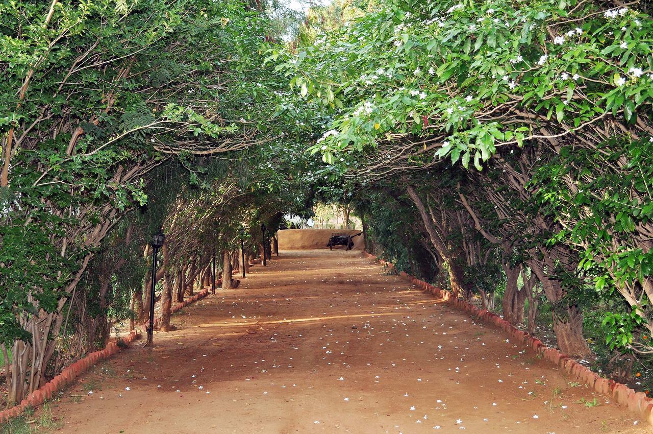 Tiger Machan Resort Ranthambore Extérieur photo